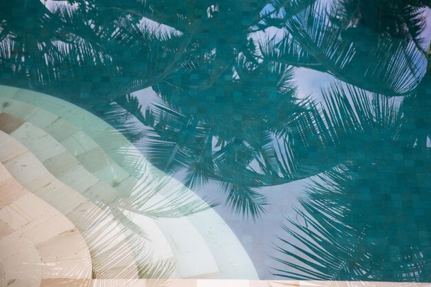 Reflejo de cocoteros y palmeras en la piscina