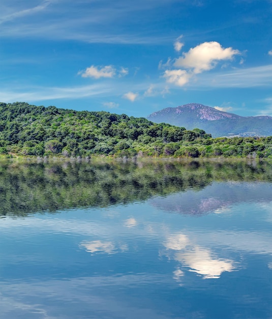 Reflejo en el lago Baratz