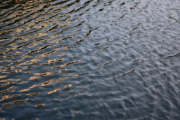 el reflejo de la luz que brilla en la superficie del agua