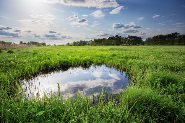 Foto reflejo de nubes y cielo azul en un pequeño lago entre hierba verde