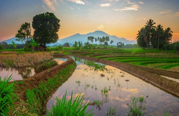 Reflejo del paisaje matutino en los campos de arroz azul y las montañas de indonesia, asia