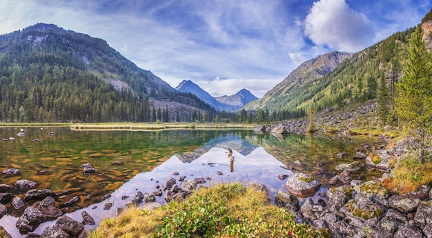 Reflejo de paisaje de verano de lago de montaña salvaje en el agua