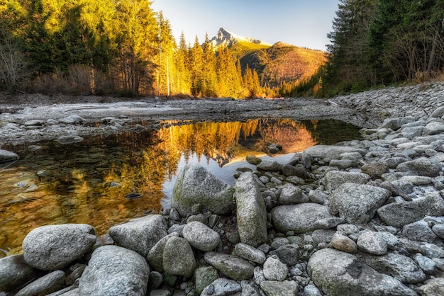 Reflejo del pico Krivan en arroyo de montaña Eslovaquia