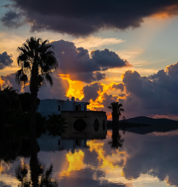 Reflejo de una silueta de palmera bajo un cielo nublado al atardecer en Cerdeña