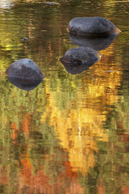 Reflejos en el agua en el Valle de Hecho