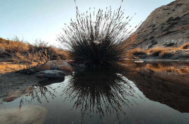 reflejos en el lago