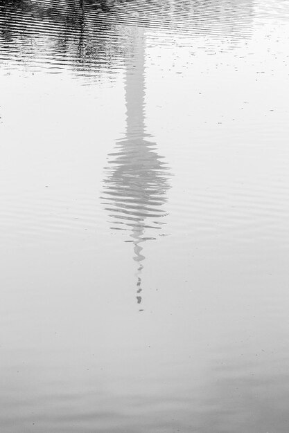 Reflexão da natação na água