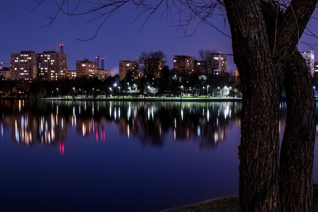 Reflexão de árvores e edifícios no lago à noite