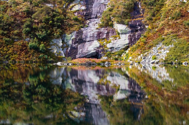 Foto reflexão de árvores e rochas no lago