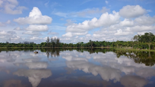 Reflexão de árvores em um lago calmo