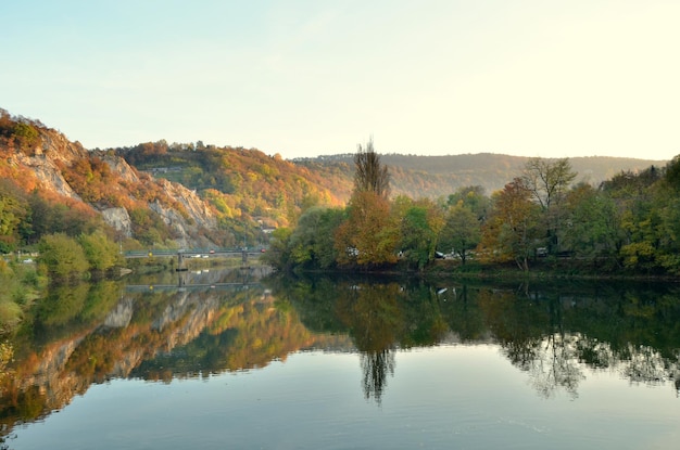 Reflexão de árvores em um lago calmo