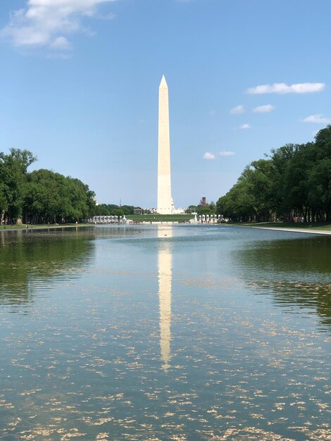 Reflexão de árvores na água