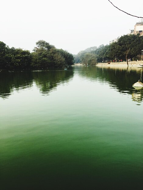 Foto reflexão de árvores na água