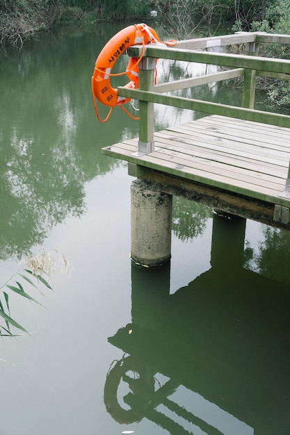 Reflexão de árvores na água