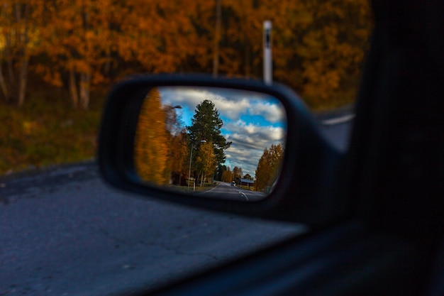 Reflexão de árvores no espelho de visão lateral