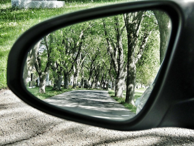 Foto reflexão de árvores no espelho lateral