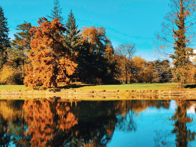 Reflexão de árvores no lago contra o céu