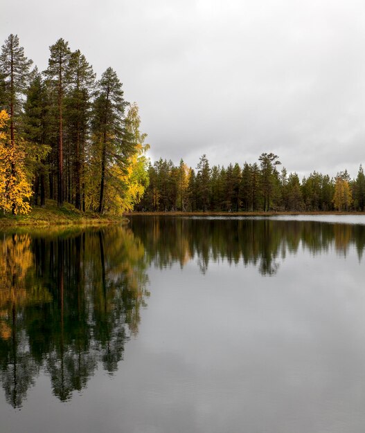 Reflexão de árvores no lago contra o céu