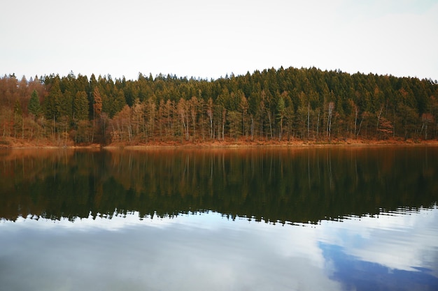 Reflexão de árvores no lago contra o céu