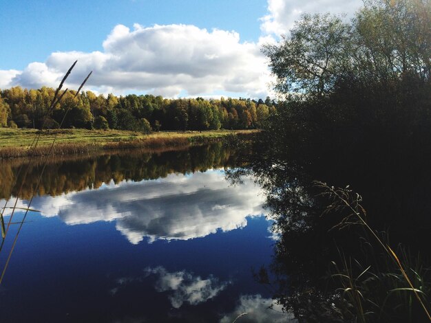 Foto reflexão de árvores no lago