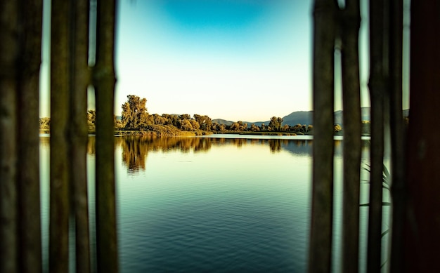 Foto reflexão de árvores no lago