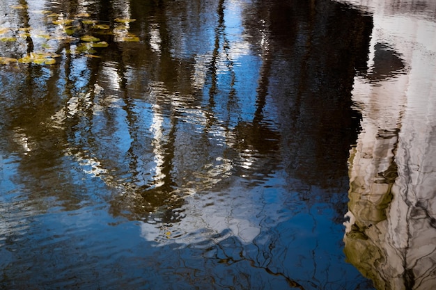 Foto reflexão de árvores no lago