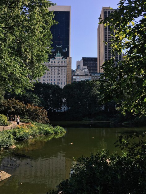 Reflexão de edifícios na água