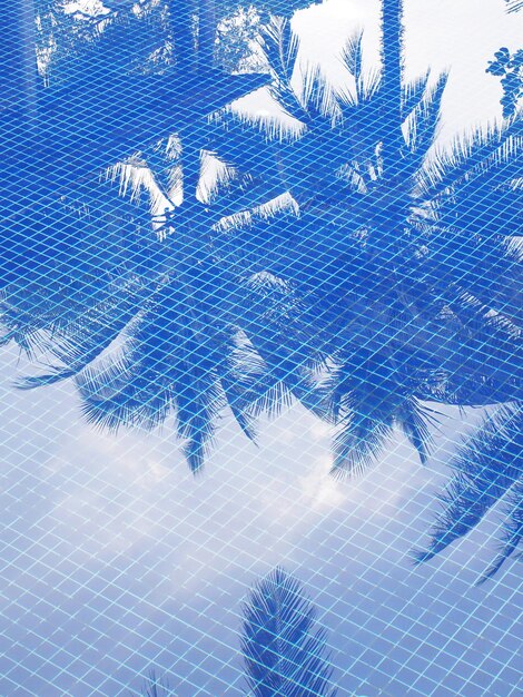 Foto reflexão de folhas de coco em piscinas com azulejos de mosaico azul