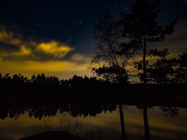 Foto reflexão de silhuetas de árvores em um rio calmo durante o pôr-do-sol