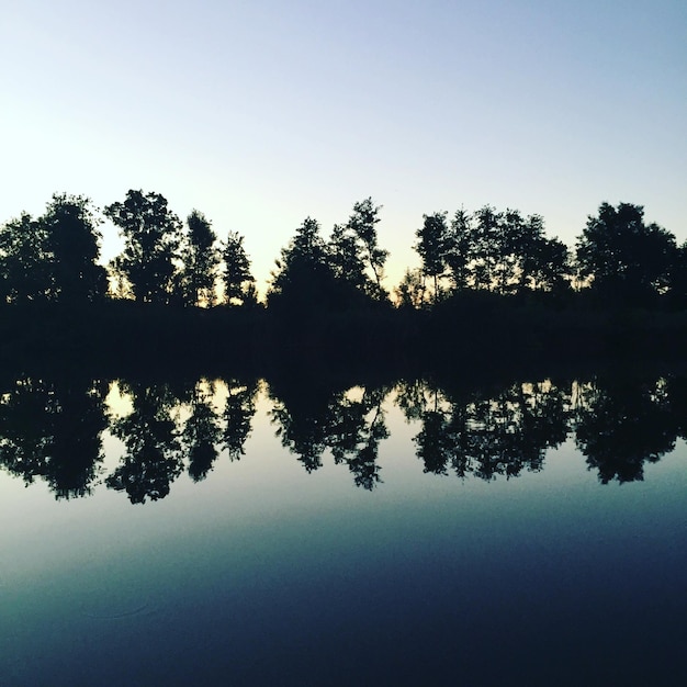 Reflexão de silhuetas de árvores no lago contra o céu