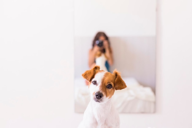 Reflexão de uma mulher fotografada por um cão no espelho em casa