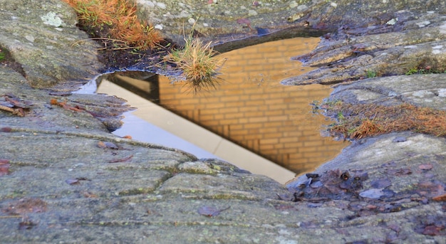 Reflexão do edifício na poça