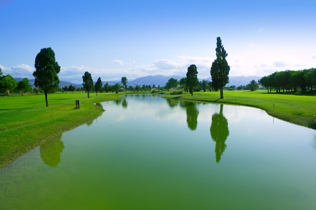 Reflexão do lago do campo de grama verde do campo de golfe