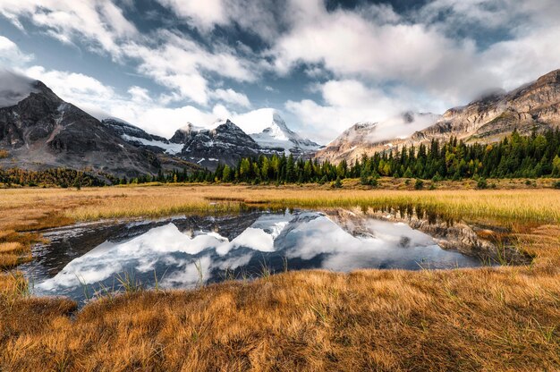 Foto reflexão do monte assiniboine na lagoa no prado dourado no parque provincial