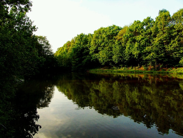 Reflexão lagoa