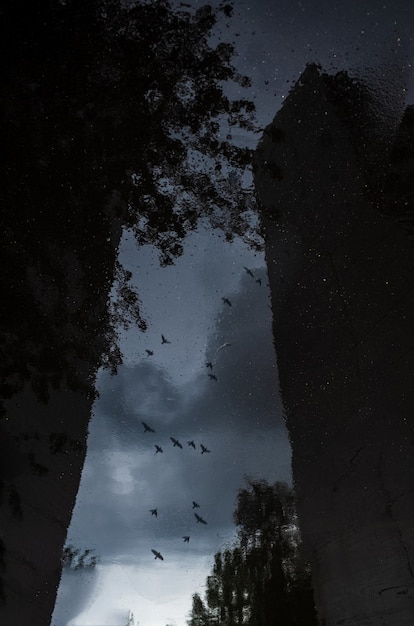 Reflexión abstracta de una calle de la ciudad en un charco de lluvia El borde del paraguas es visible