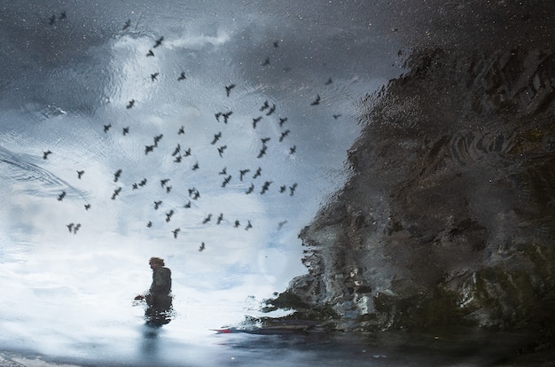 Reflexión abstracta de una calle de la ciudad en un charco lluvioso. Pájaros voladores