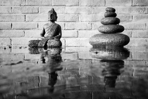 Foto reflexión del agua en el charco