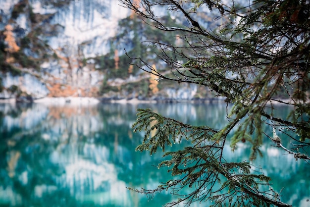 Foto reflexión del árbol en el lago durante el invierno