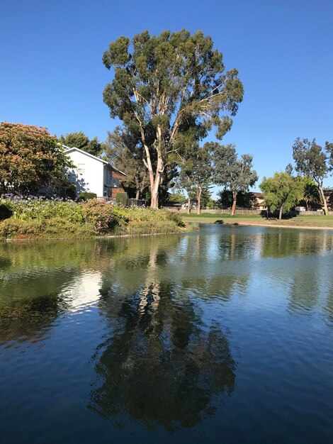 Foto reflexión de los árboles en el agua contra el cielo despejado