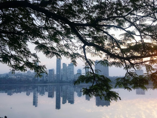 Foto reflexión de los árboles en el agua