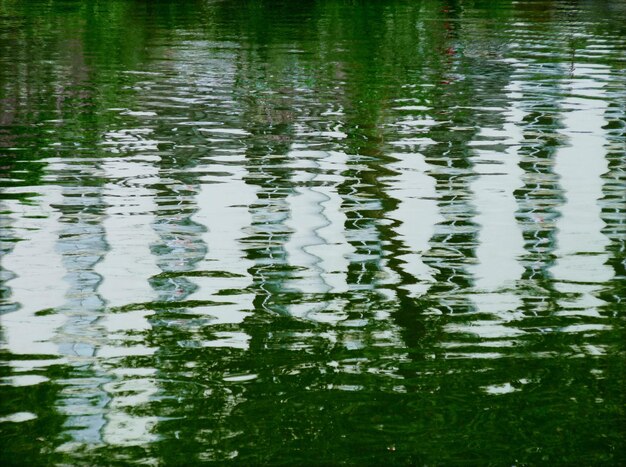 Foto reflexión de los árboles en el agua