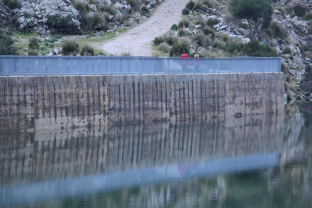 Foto reflexión de los árboles en el agua