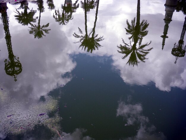 Reflexión de los árboles y el cielo nublado en el charco durante la temporada de lluvias