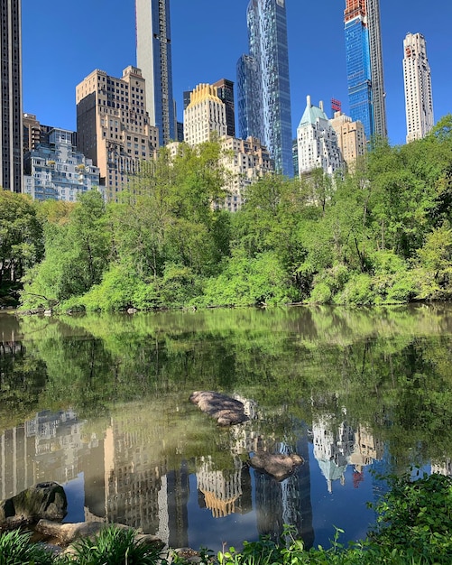 Foto reflexión de árboles y edificios en el lago