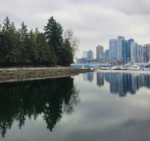 Foto reflexión de los árboles en el lago contra el cielo en la ciudad