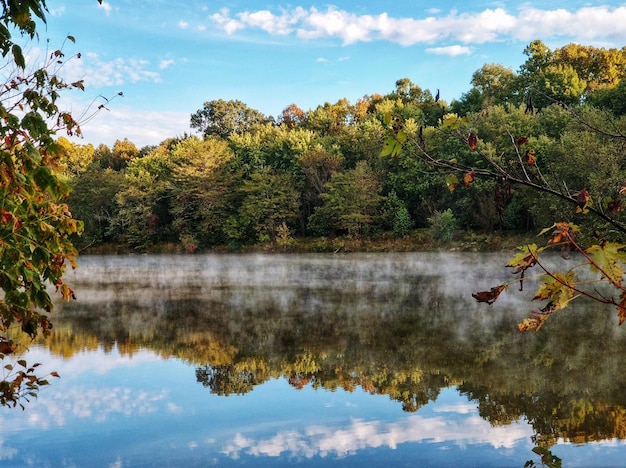 Foto reflexión de los árboles en el lago contra el cielo durante el otoño