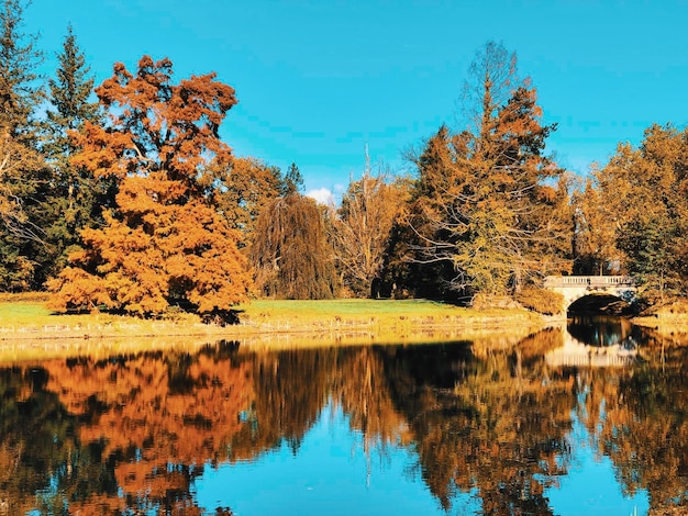 Foto reflexión de los árboles en el lago contra el cielo