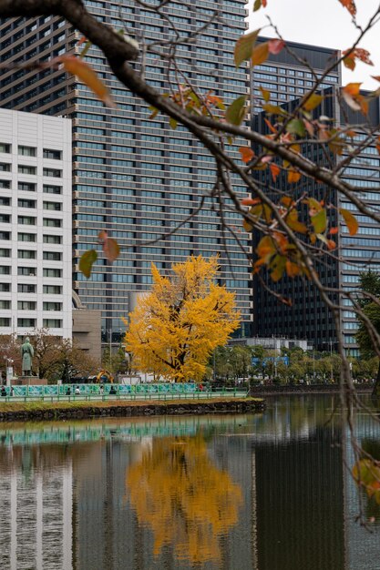 Foto reflexión de los árboles en el lago contra los edificios de la ciudad