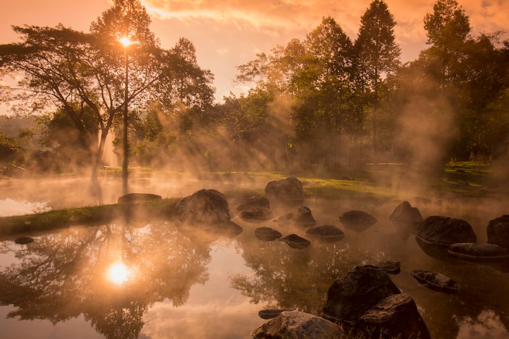 Foto reflexión de los árboles en el lago durante la puesta del sol